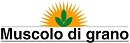 prodotto